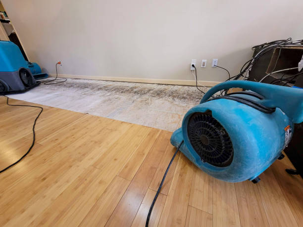 Professional Basement Flood Cleanup technician working in Orchard, CO